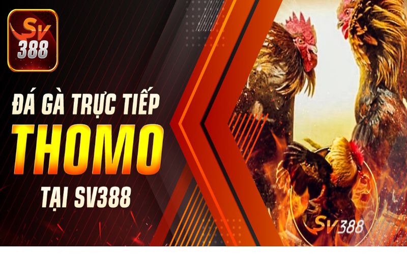 giấy phép hoạt động SV388 là tiêu chí để xây dựng tên tuổi