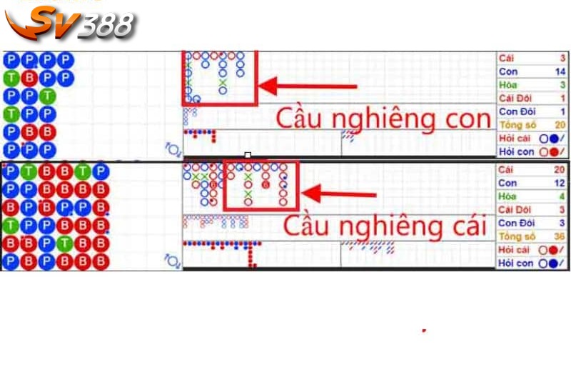 Cầu nghiêng cái và cầu nghiêng con là thống kê kết quả cửa cược