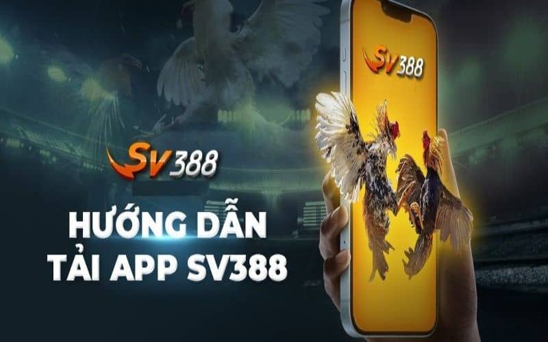 Chúng tôi phát triển ứng dụng SV388 trên điện thoại