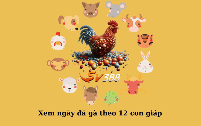 Xem ngày đá gà dựa vào bảng 12 con giáp